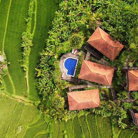 Barong Villas Sidemen  Exteriér fotografie