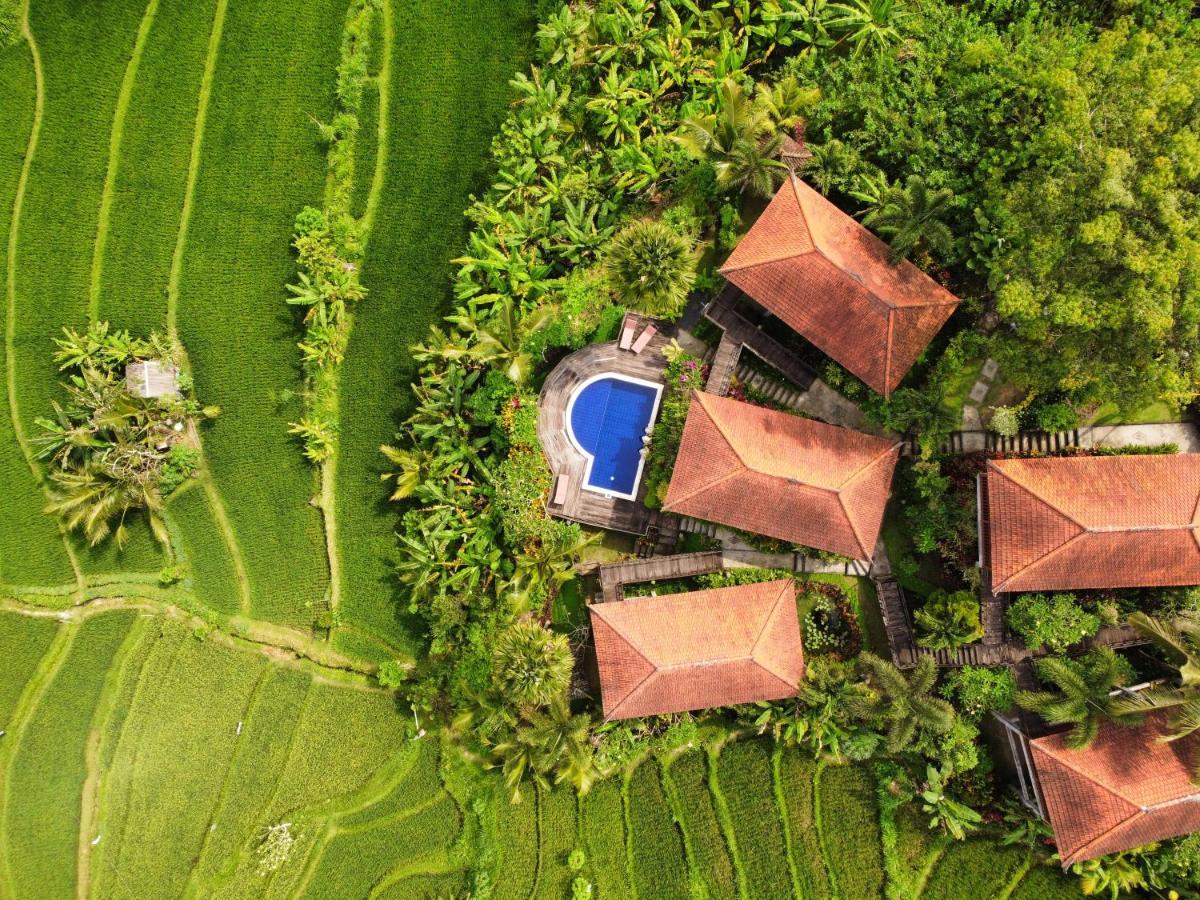 Barong Villas Sidemen  Exteriér fotografie