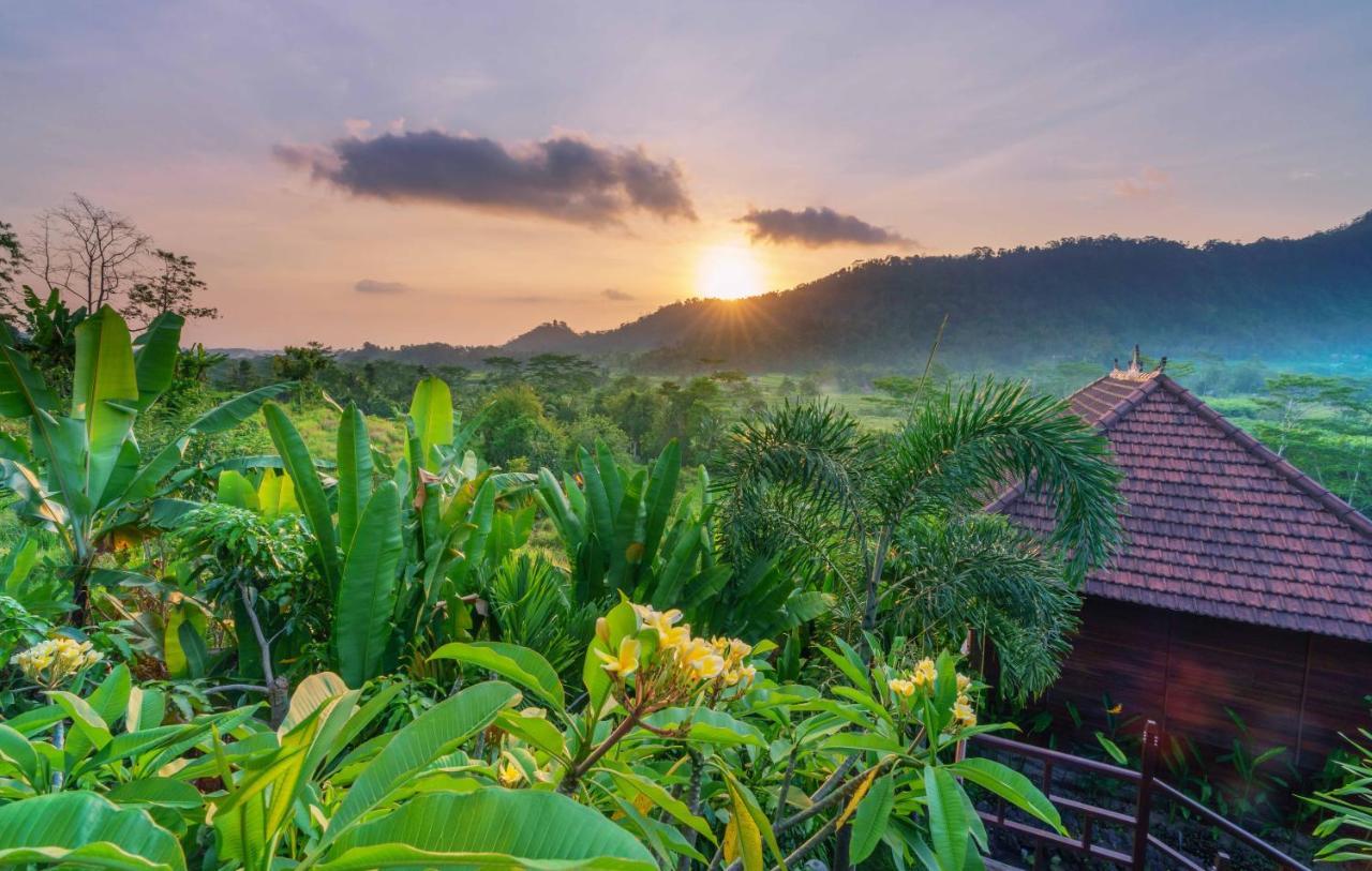 Barong Villas Sidemen  Exteriér fotografie