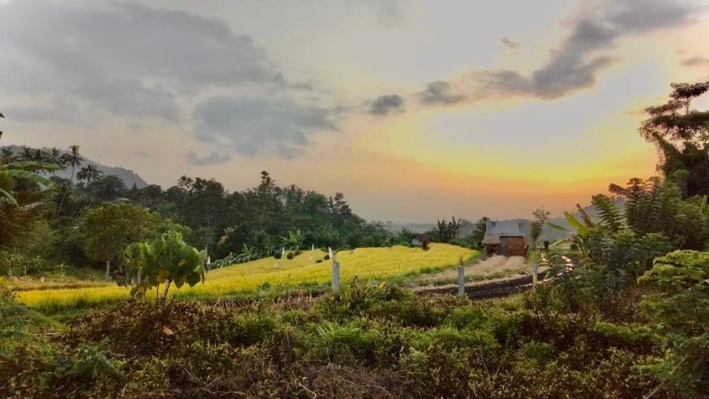 Barong Villas Sidemen  Exteriér fotografie